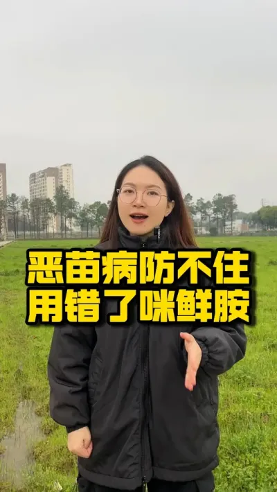恶苗病防不住&nbsp;90%的人用错咪鲜胺 #水稻种植  #咪鲜胺 #早稻催芽&rdquo;#种之道 #高产