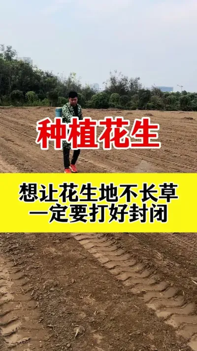 花生苗前封闭除草剂#除草剂 #花生苗前封闭 #花生苗前封闭除草剂 #苗前封闭 #除草