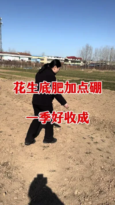 花生底肥加上硼，一季好收成#花生种植 #花生底肥 #花生颗粒硼肥 #硼肥的功效与作用 #花生高产种植
