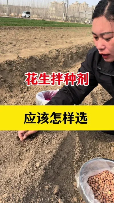 花生拌种剂应该怎么选#花生种植 #拌种剂 #种子专用拌种剂 #花生拌种剂 #花生拌种
