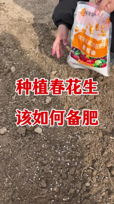 花生种植如何备肥#花生种植 #花生高产 #花生颗粒硼肥 #花生施肥 #花生高产种植
