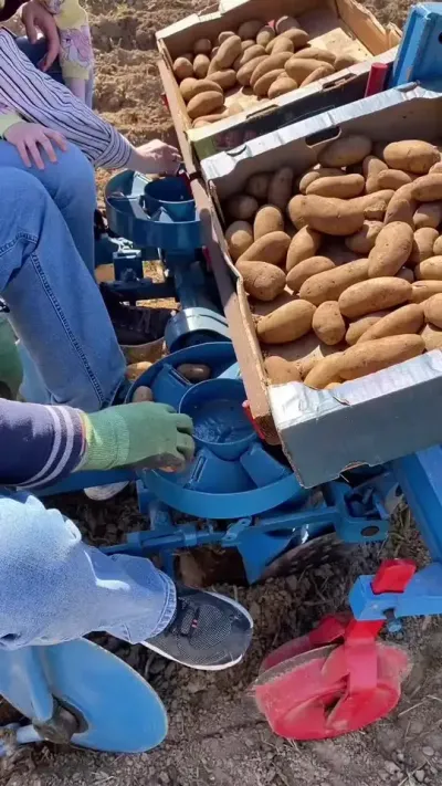 第1194集｜整颗土豆🥔播种，多少有点奢侈了！ #服务三农支持三农 #农机视频 #春耕进行时