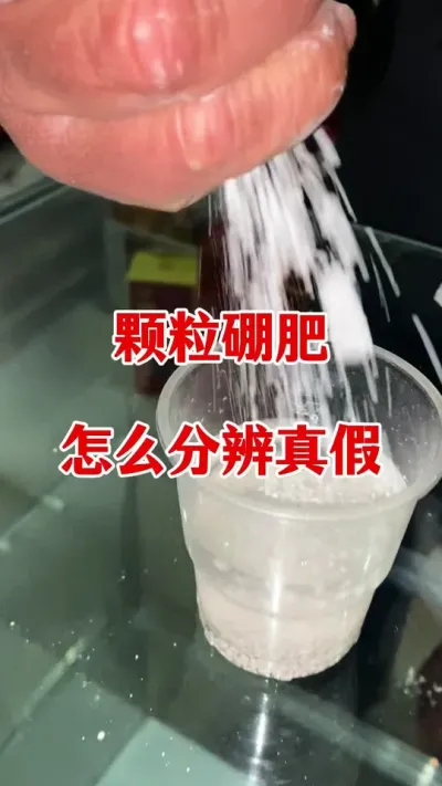 颗粒硼怎样辨别使用？#硼肥的功效与作用 #颗粒硼的作用 #花生种植 #花生颗粒硼肥 #花生施肥