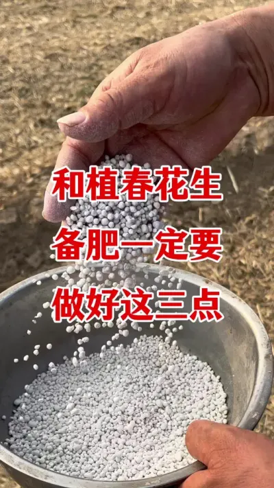 花生种植管理#花生种植 #花生施肥 #花生高产管理 #花生种植管理技术 #花生高产
