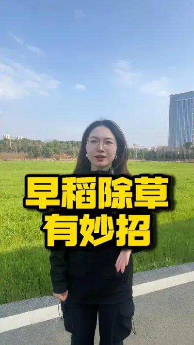 早稻除草有妙招，金风稻加固润安全又长效 #种之道 #农业技术推广 #三农 #水稻种植 #高产