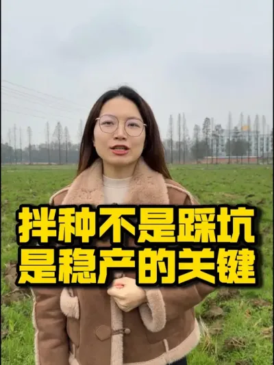 拌种是踩坑？错！这才是早稻稳产的关键！ #种之道#拌种剂 #高产 #新农人计划 #种植小技巧