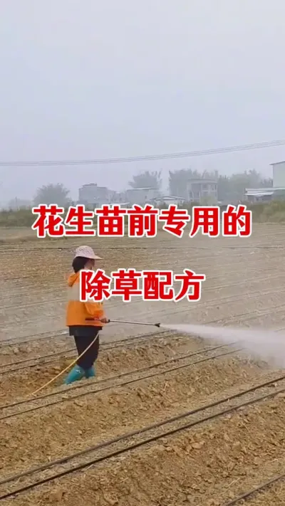花生苗前封闭除草配方#花生苗前封闭除草剂 #苗前封闭除草剂 #除草剂 #安全有效的除草方法 #花生种植