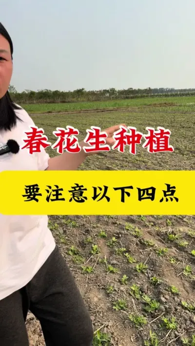 花生种植注意事项#花生种植 #花生拌种剂 #花生拌种 #拌种剂 #花生高产种植
