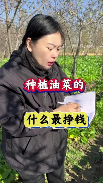 油菜高产大户都在使用的秘密配方#油菜种植 #油菜病害防治 #油菜病害 #油菜病菌清