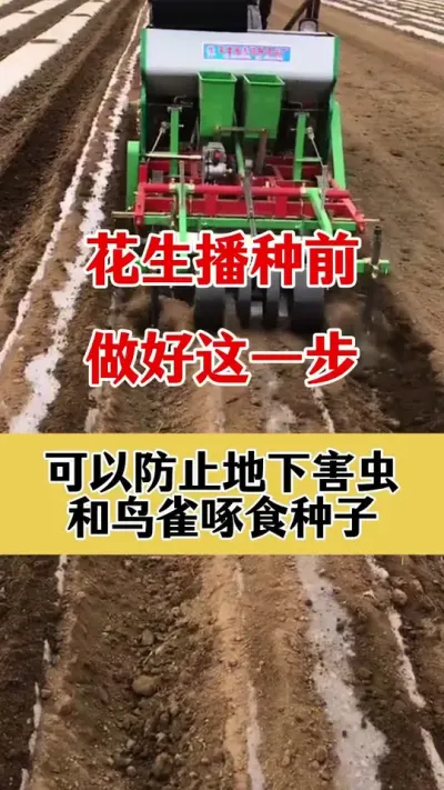 花生专用拌种剂#拌种剂 #种子专用拌种剂 #花生拌种 #花生拌种剂 #花生专用拌种剂