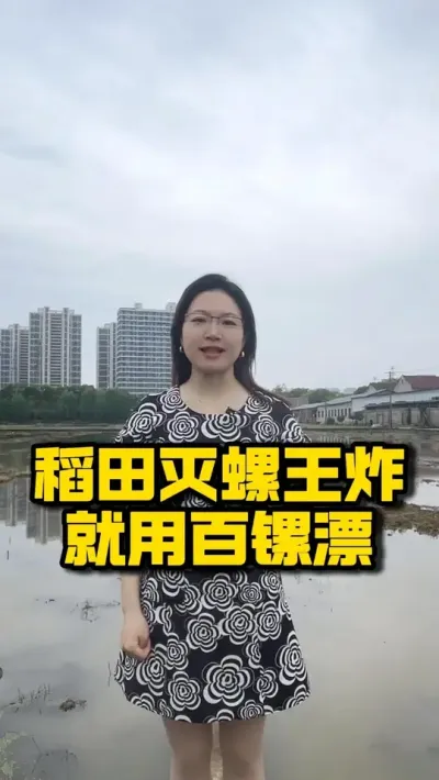稻田灭螺王炸！就用百镙漂！ #种之道 #水稻种植技术 #高产 #新农人计划 #福寿螺防治