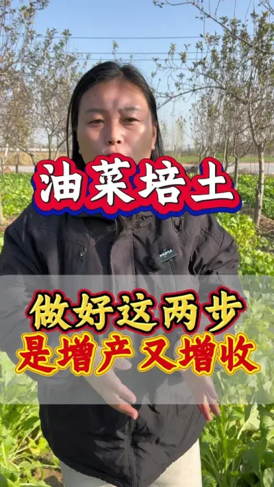 油菜培土，做好这两步，增产又增收#油菜种植管理 #油菜高产种植 #油菜猛涨增产宝 #油菜高产管理