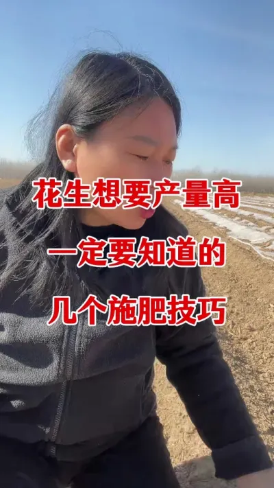 花生想要产量高的几个施肥技巧#花生种植 #花生施肥 #花生底肥 #花生颗粒硼肥 #花生高产