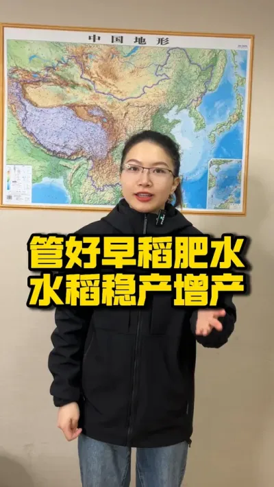 早稻肥水这样管，水稻稳产增产不用愁 #种之道 #水稻种植 #农业技术推广 #三农 #实力朋