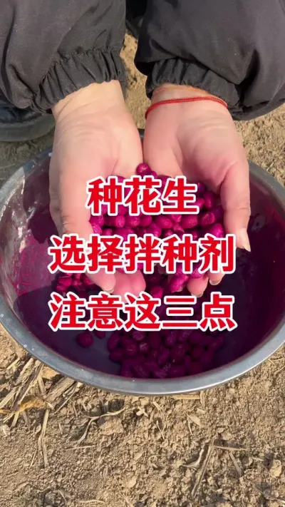 花生拌种剂应该怎样选#花生拌种剂 #花生拌种 #花生种植 #拌种剂 #三农种植