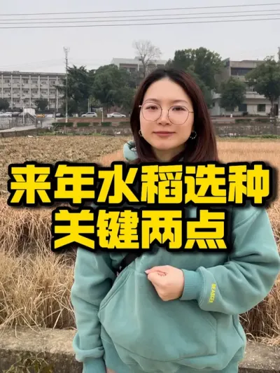 【种之道第7期培训会倒计时5天】 来年如何选择好的水稻品种，你知道吗#水稻 #水稻品种 #种植技术推广 #种田大户 #抖音助农