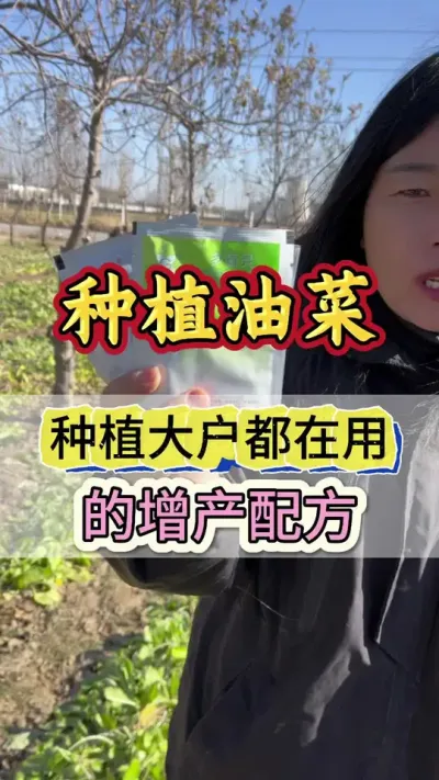 油菜很多种植大户都在用的增产套餐#油菜种植 #油菜一喷三防 #油菜病虫害防治 #油菜种植管理
