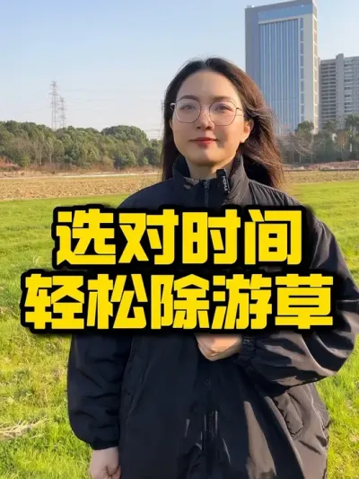 游草在什么时间除#农业技术推广 #水稻种植 #三农 #抖音助农 #种植小技巧