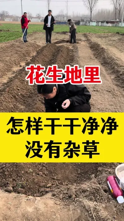 花生苗前封闭除草配方#花生种植 #花生苗前封闭 #花生苗前封闭除草剂 #除草剂 #苗前封闭除草剂