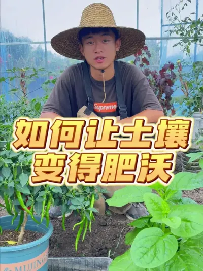土壤如何变得肥沃？ #种植小技巧 #关注我一起学种菜 #家庭种植 #我的小菜园 #种菜