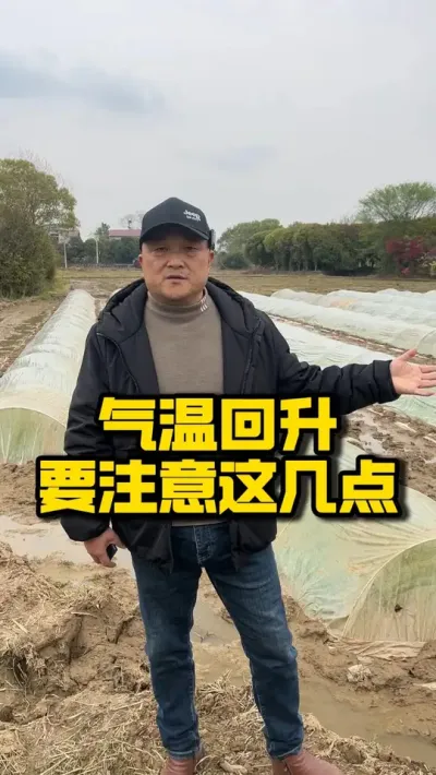 气温回升，要注意这几点 #种之道 #水稻种植技术 #育秧 #高产 #春耕进行时