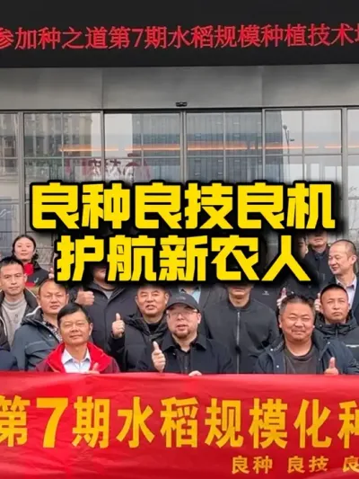 良种良技良机，为您保驾护航#水稻种植 #抖音助农 #农业技术推广 #三农 #种田大户