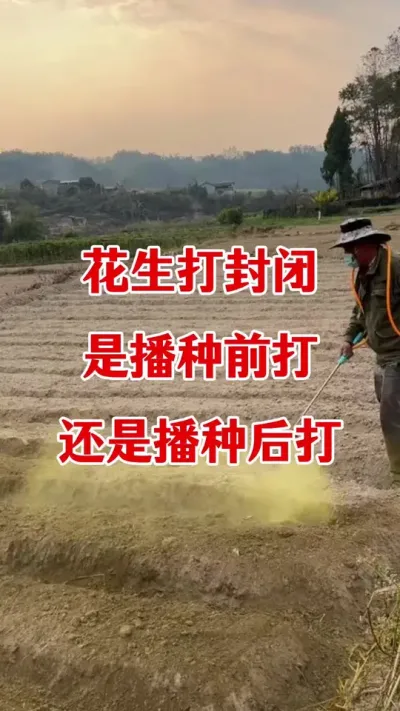 花生什么时候打除草剂效果好#花生种植 #花生苗前封闭除草剂 #苗前封闭 #除草剂 #除草不伤作物