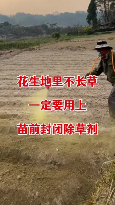 花生苗前封闭除草配方#花生种植 #花生苗前封闭 #花生苗前封闭除草剂 #除草剂