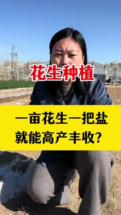 一亩花生一把盐真的能高产丰收#花生种植 #花生高产种植 #花生高产叶面肥 #花生膨大粒粒饱 #花生种植管理技术