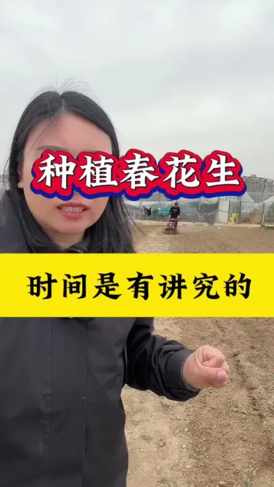 花生最佳播种时间#花生最佳播种时间 #花生种植 #花生播种 #花生