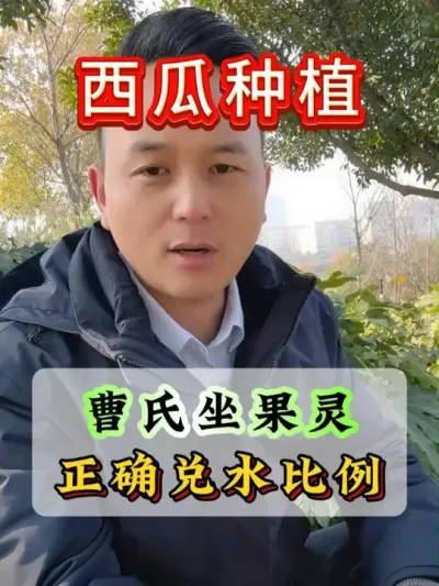 曹氏坐果灵正确兑水比例 #西瓜种植 #西瓜种植技术 #种植小技巧 #大棚西瓜 #瓜农不容易