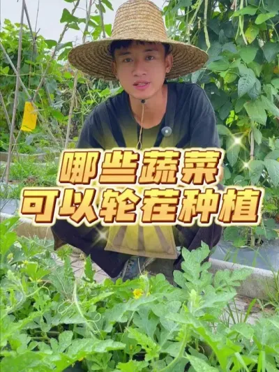 哪些蔬菜作物可以轮茬种植？ #种植小技巧 #关注我一起学种菜 #自己种的纯天然的绿色蔬菜 #家庭种植 #种菜