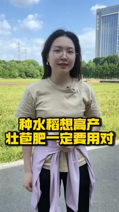 种水稻想高产，壮苞肥一定要用对 #种之道 #水稻种植技术 #高产 #新农人计划 #壮苞肥