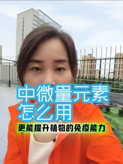 中微量元素怎么用#中微量元素#农业种植#优质农产品
