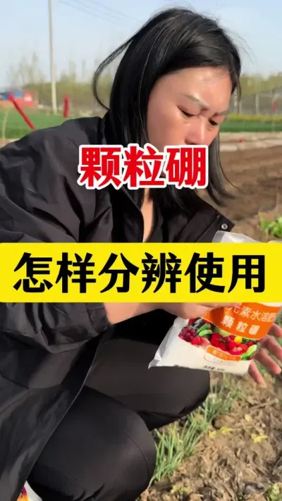 颗粒硼肥怎样分辨真假？在什么时候使用？#花生高产种植 #硼肥的功效与作用 #花生种植 #花生颗粒硼肥 #花生高产