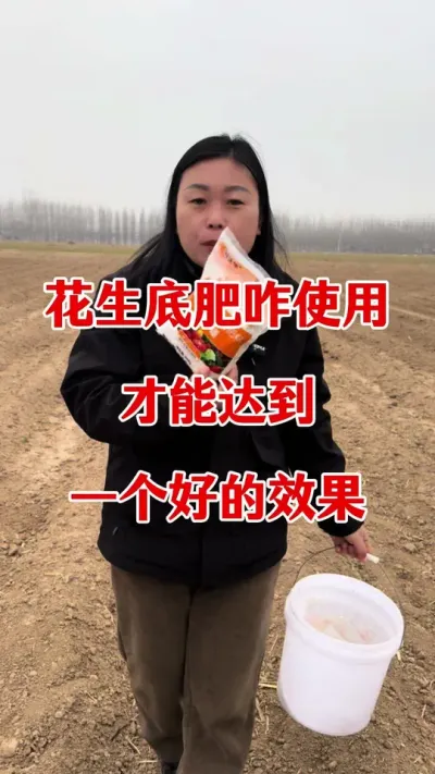 花生底肥硼肥怎样使用效果好#花生种植 #花生颗粒硼肥 #硼肥的功效与作用 #花生高产种植 #花生底肥