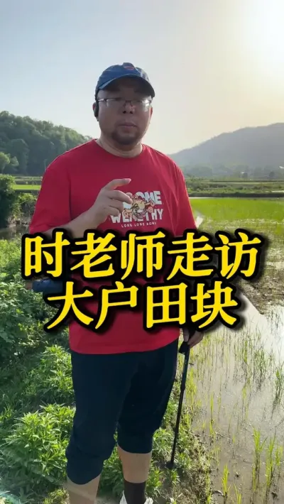 时老师走访大户田块&mdash;封闭除草效果反馈 #种之道 #水稻种植技术 #高产 #新农人计划 #封闭除草