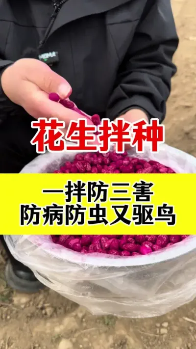 花生专用拌种剂#花生种植 #花生拌种剂 #花生专用拌种剂 #拌种剂 #花生