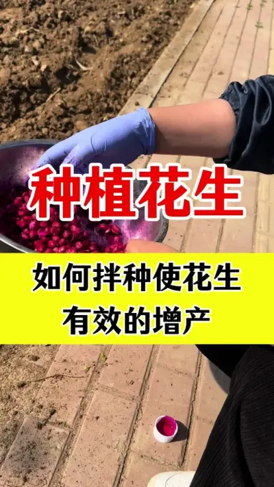 花生专用拌种剂#花生拌种剂 #花生拌种 #拌种剂 #花生种植