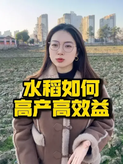 来年水稻怎么种，效益高#水稻种植 #农业技术推广 #三农 #高产 #抖音助农