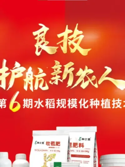 【种之道第6期培训会倒计时4天】 好的技术是把田种好的关键因素，如果你想学习种植技术，就来种之道第6期水稻规模化种植培训会，任何疑难杂症，都可以为您一一解决#三农 #水稻种植 #水稻 #种田大户 #种