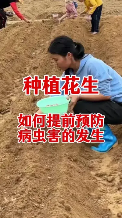 花生专用拌种剂#花生拌种 #花生拌种剂 #拌种剂 #花生种植 #花生种植管理技术