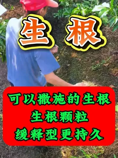 可以撒施的生根颗粒缓释型更持久 #生根剂 #生根粉 #生根壮苗 #优质农产品 #无限回购的宝藏单品