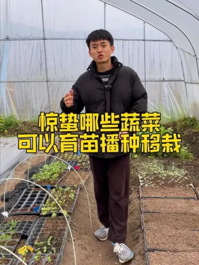 大家都开始春耕了吗？惊蛰以后哪些蔬菜可以育苗、移栽、直播？ #自己种的纯天然的绿色蔬菜 #关注我一起学种菜 #种植小技巧 #我的小菜园 #家庭种植