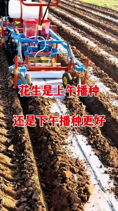 花生播种时间及怎样拌种#花生拌种剂 #花生种植#花生拌种 #拌种剂 #种子专用拌种剂