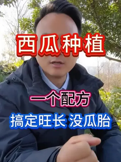 西瓜没有瓜胎一个方法轻松解决 #西瓜种植 #促花保果 #西瓜坐瓜 #花芽分化 #西瓜管理