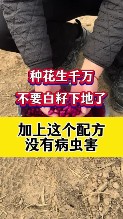 花生专用拌种剂#花生种植 #花生拌种剂 #花生专用拌种剂 #花生拌种 #拌种剂