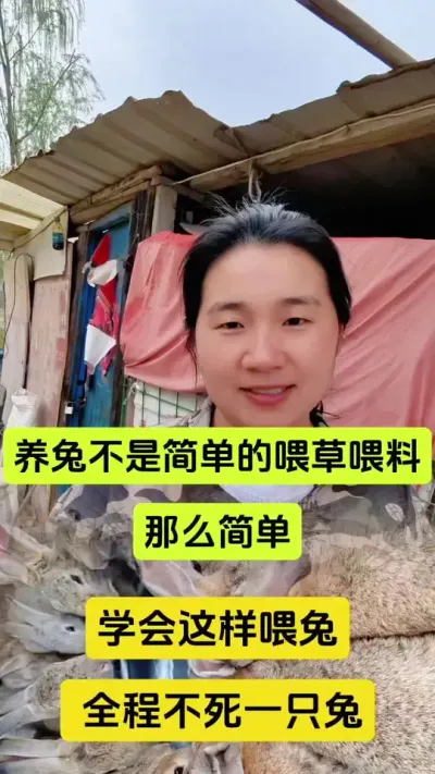 养兔不是简单的喂草喂料，学会这样喂，10年不死一只兔，远离兔瘟兔丙#兔子 #养兔人#兔子养殖 #科学养兔 #兔 #肉兔养殖