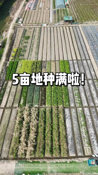 5亩地都种满了，期待今年丰收多多 