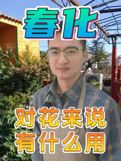 你知道春化是什么意思吗？ #养花 #春化 #养花小知识